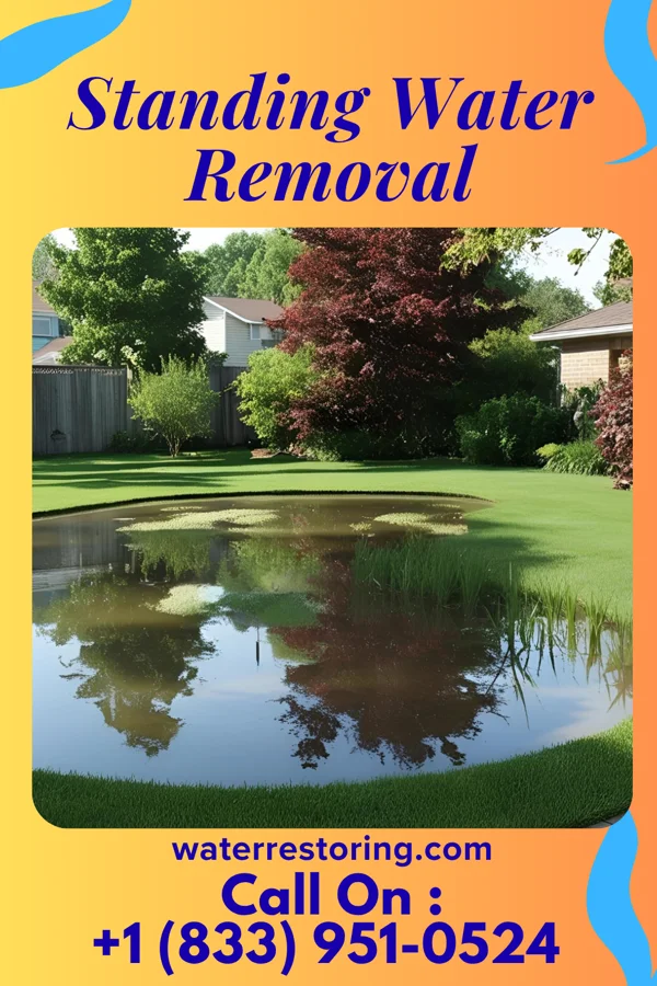 Standing Water Removal in Gasconade, MO